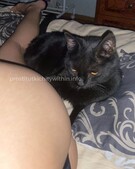 Анкета проститутки Зоя - метро Метрогородок, возраст - 23