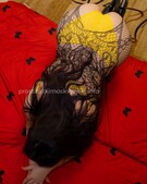 Анкета проститутки Жасмин - метро Митино, возраст - 28